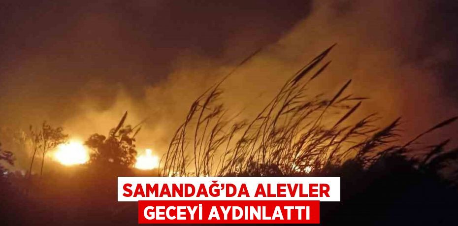 SAMANDAĞ’DA ALEVLER GECEYİ AYDINLATTI