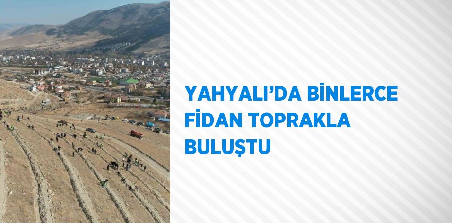 YAHYALI’DA BİNLERCE FİDAN TOPRAKLA BULUŞTU