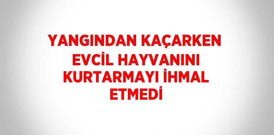 YANGINDAN KAÇARKEN EVCİL HAYVANINI KURTARMAYI İHMAL ETMEDİ