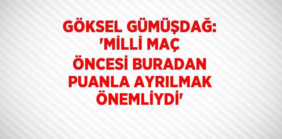 GÖKSEL GÜMÜŞDAĞ: 'MİLLİ MAÇ ÖNCESİ BURADAN PUANLA AYRILMAK ÖNEMLİYDİ'