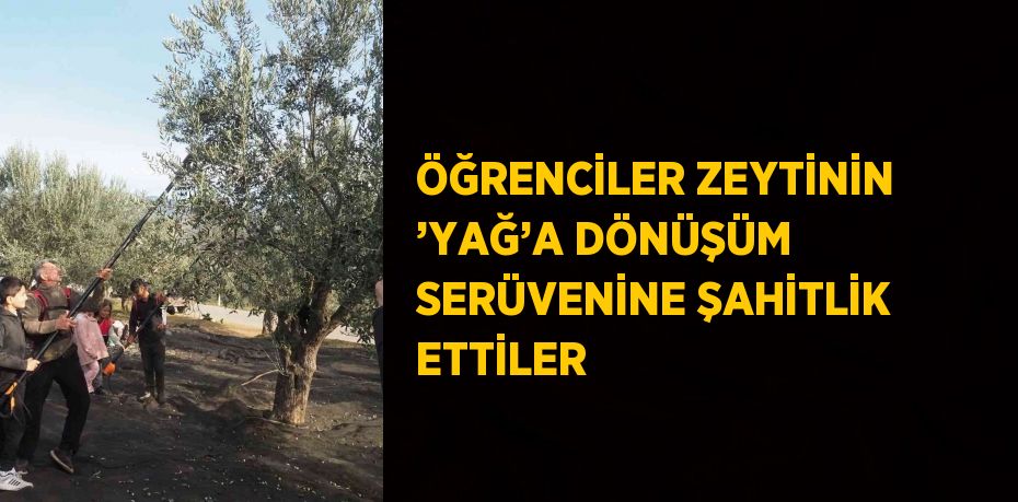 ÖĞRENCİLER ZEYTİNİN ’YAĞ’A DÖNÜŞÜM SERÜVENİNE ŞAHİTLİK ETTİLER