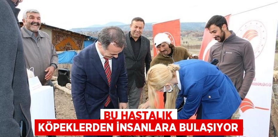 BU HASTALIK KÖPEKLERDEN İNSANLARA BULAŞIYOR