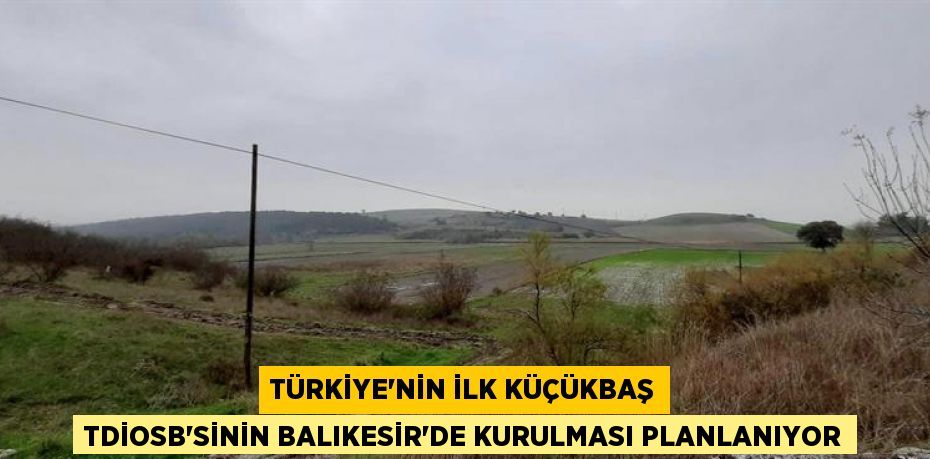 Türkiye'nin İlk Küçükbaş TDİOSB'sinin Balıkesir'de Kurulması Planlanıyor