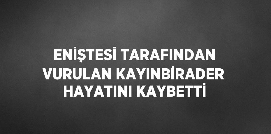 ENİŞTESİ TARAFINDAN VURULAN KAYINBİRADER HAYATINI KAYBETTİ