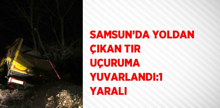 SAMSUN’DA YOLDAN ÇIKAN TIR UÇURUMA YUVARLANDI:1 YARALI