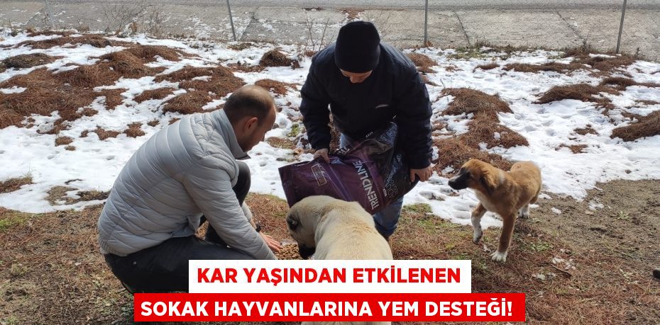 Kar yaşından etkilenen sokak hayvanlarına yem desteği!