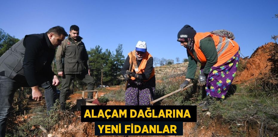 Alaçam Dağlarına Yeni Fidanlar