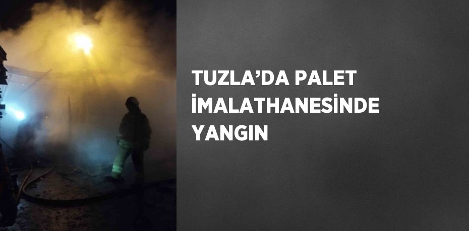 TUZLA’DA PALET İMALATHANESİNDE YANGIN