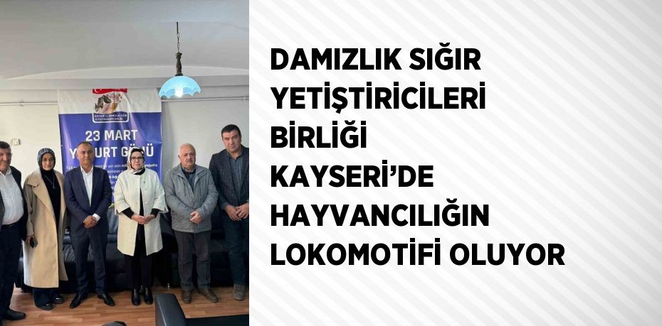 DAMIZLIK SIĞIR YETİŞTİRİCİLERİ BİRLİĞİ KAYSERİ’DE HAYVANCILIĞIN LOKOMOTİFİ OLUYOR