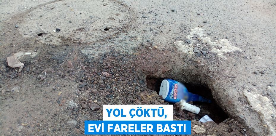 Yol çöktü, evi fareler bastı