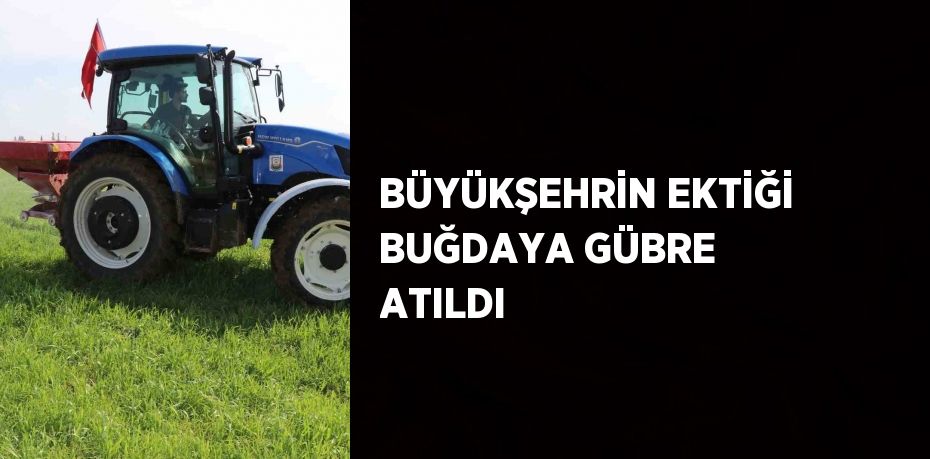 BÜYÜKŞEHRİN EKTİĞİ BUĞDAYA GÜBRE ATILDI