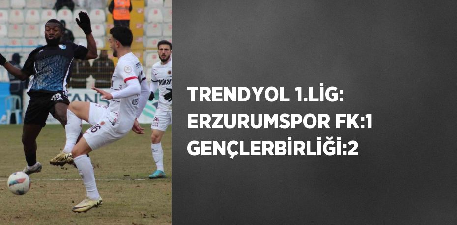 TRENDYOL 1.LİG: ERZURUMSPOR FK:1 GENÇLERBİRLİĞİ:2