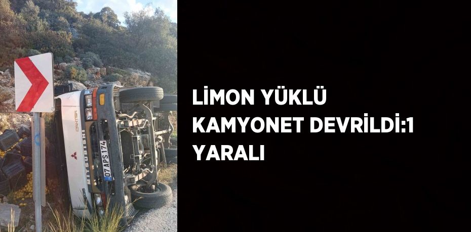 LİMON YÜKLÜ KAMYONET DEVRİLDİ:1 YARALI