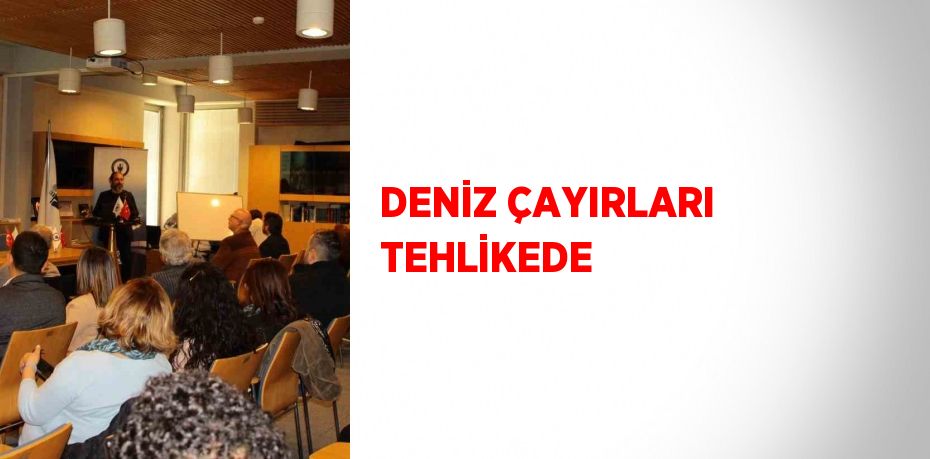 DENİZ ÇAYIRLARI TEHLİKEDE