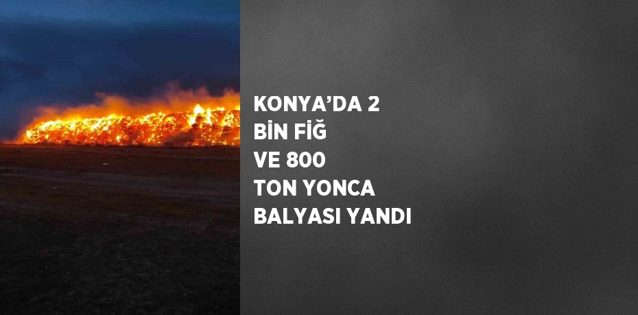 KONYA’DA 2 BİN FİĞ VE 800 TON YONCA BALYASI YANDI