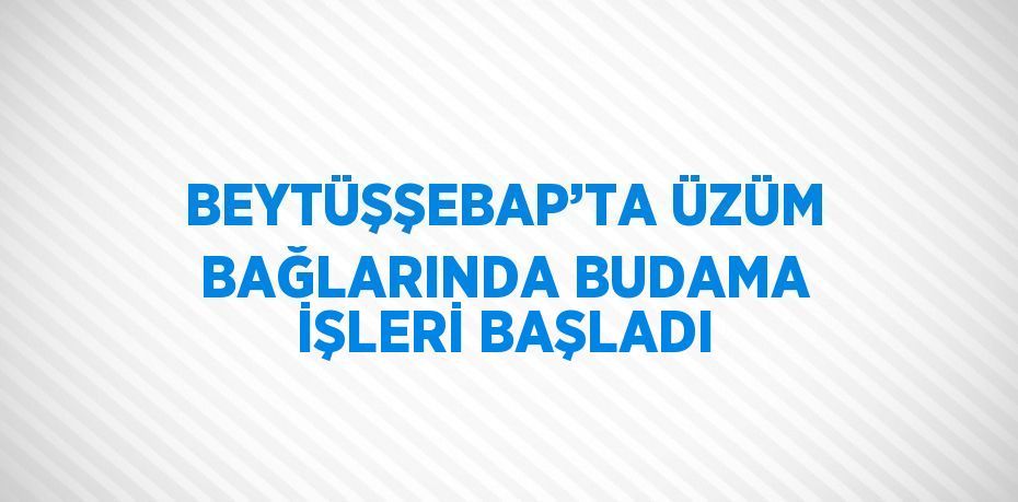 BEYTÜŞŞEBAP’TA ÜZÜM BAĞLARINDA BUDAMA İŞLERİ BAŞLADI