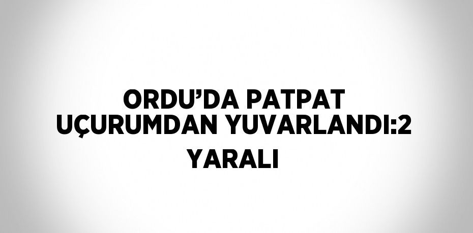 ORDU’DA PATPAT UÇURUMDAN YUVARLANDI:2 YARALI