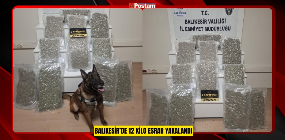 Balıkesir’de 12 kilo esrar yakalandı