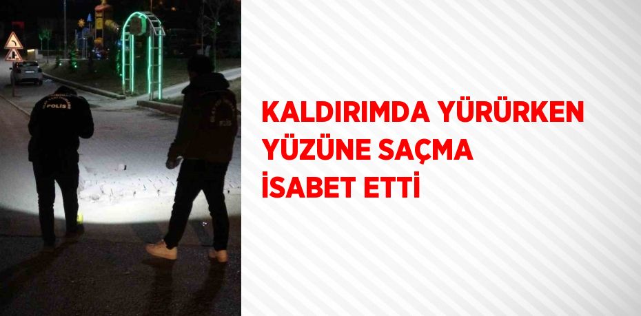 KALDIRIMDA YÜRÜRKEN YÜZÜNE SAÇMA İSABET ETTİ