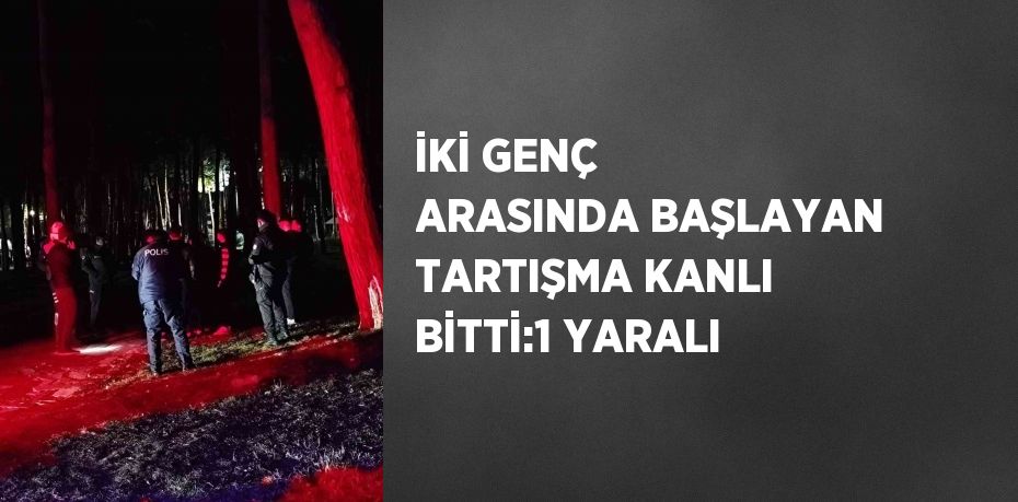 İKİ GENÇ ARASINDA BAŞLAYAN TARTIŞMA KANLI BİTTİ:1 YARALI