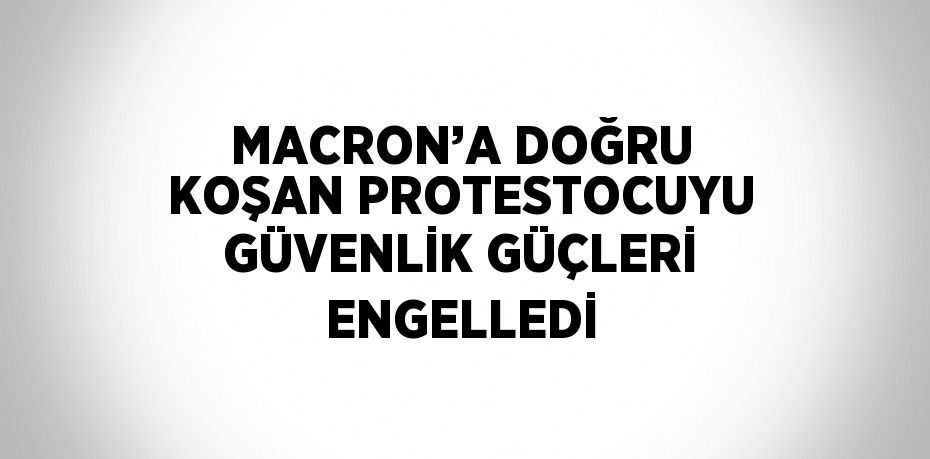 MACRON’A DOĞRU KOŞAN PROTESTOCUYU GÜVENLİK GÜÇLERİ ENGELLEDİ