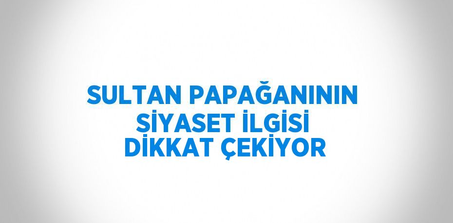 SULTAN PAPAĞANININ SİYASET İLGİSİ DİKKAT ÇEKİYOR