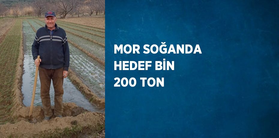 MOR SOĞANDA HEDEF BİN 200 TON