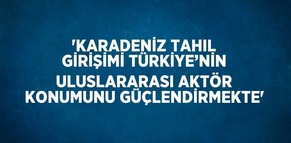 'KARADENİZ TAHIL GİRİŞİMİ TÜRKİYE’NİN ULUSLARARASI AKTÖR KONUMUNU GÜÇLENDİRMEKTE'