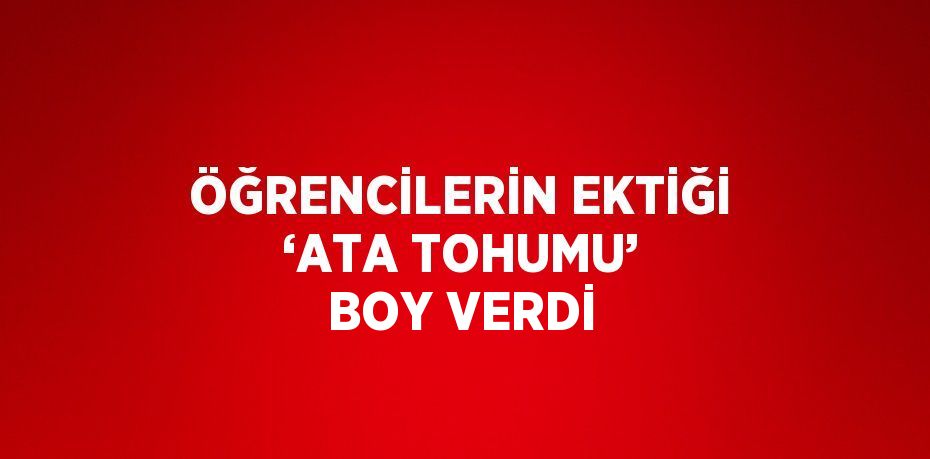 ÖĞRENCİLERİN EKTİĞİ ‘ATA TOHUMU’ BOY VERDİ