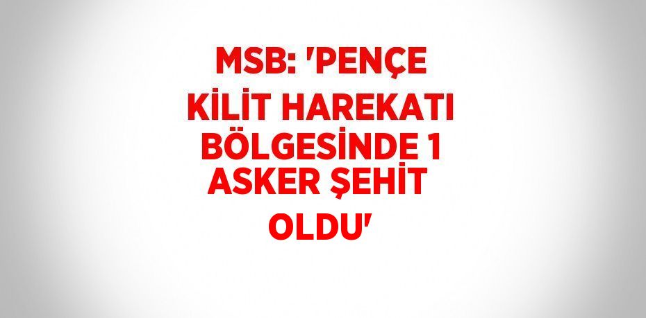 MSB: 'PENÇE KİLİT HAREKATI BÖLGESİNDE 1 ASKER ŞEHİT OLDU'