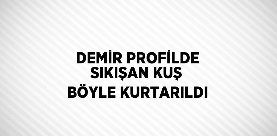 DEMİR PROFİLDE SIKIŞAN KUŞ BÖYLE KURTARILDI