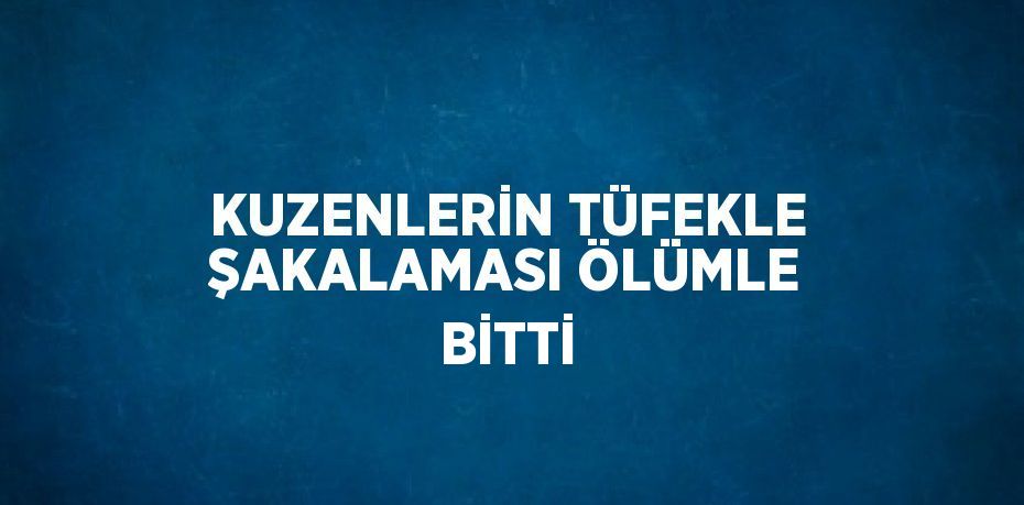 KUZENLERİN TÜFEKLE ŞAKALAMASI ÖLÜMLE BİTTİ