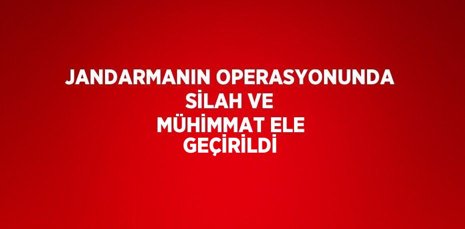 JANDARMANIN OPERASYONUNDA SİLAH VE MÜHİMMAT ELE GEÇİRİLDİ