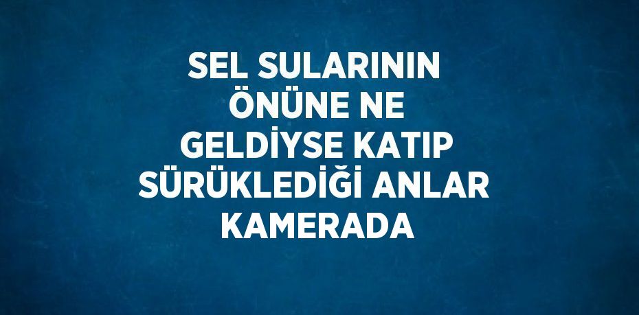 SEL SULARININ ÖNÜNE NE GELDİYSE KATIP SÜRÜKLEDİĞİ ANLAR KAMERADA