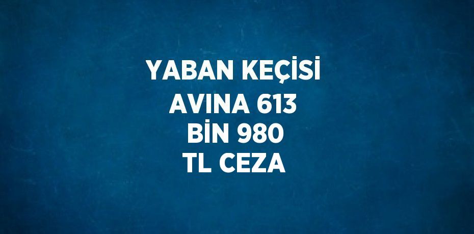 YABAN KEÇİSİ AVINA 613 BİN 980 TL CEZA