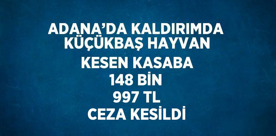 ADANA’DA KALDIRIMDA KÜÇÜKBAŞ HAYVAN KESEN KASABA 148 BİN 997 TL CEZA KESİLDİ