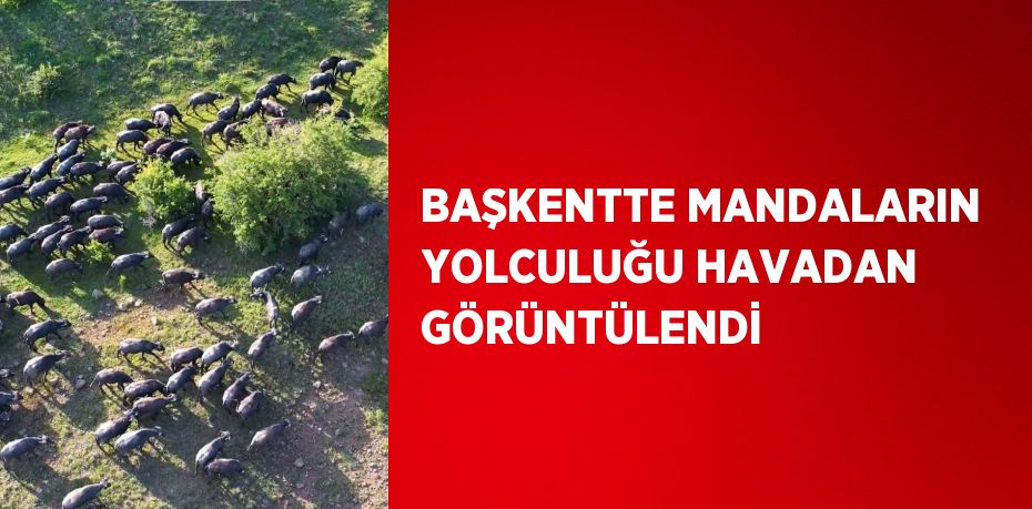 BAŞKENTTE MANDALARIN YOLCULUĞU HAVADAN GÖRÜNTÜLENDİ