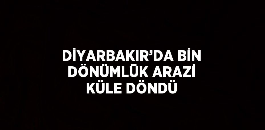 DİYARBAKIR’DA BİN DÖNÜMLÜK ARAZİ KÜLE DÖNDÜ