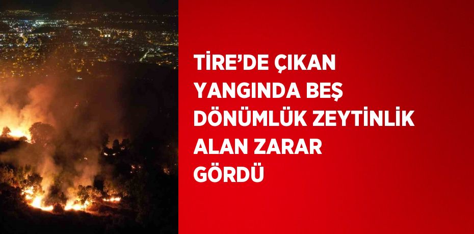 TİRE’DE ÇIKAN YANGINDA BEŞ DÖNÜMLÜK ZEYTİNLİK ALAN ZARAR GÖRDÜ