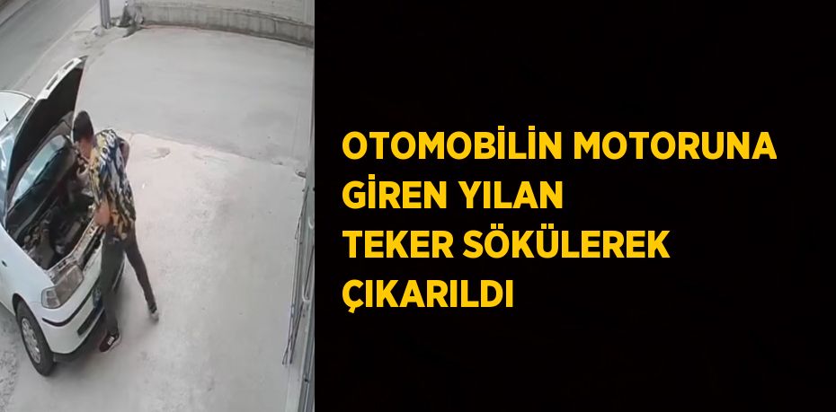 OTOMOBİLİN MOTORUNA GİREN YILAN TEKER SÖKÜLEREK ÇIKARILDI