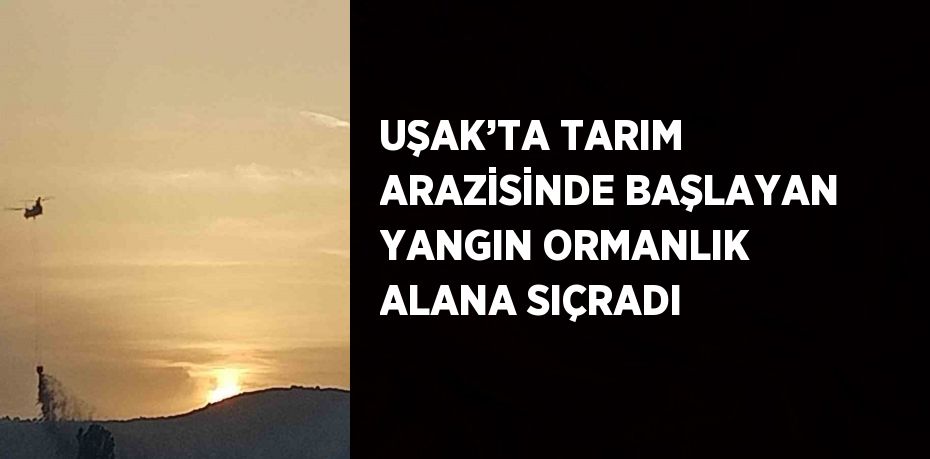 UŞAK’TA TARIM ARAZİSİNDE BAŞLAYAN YANGIN ORMANLIK ALANA SIÇRADI