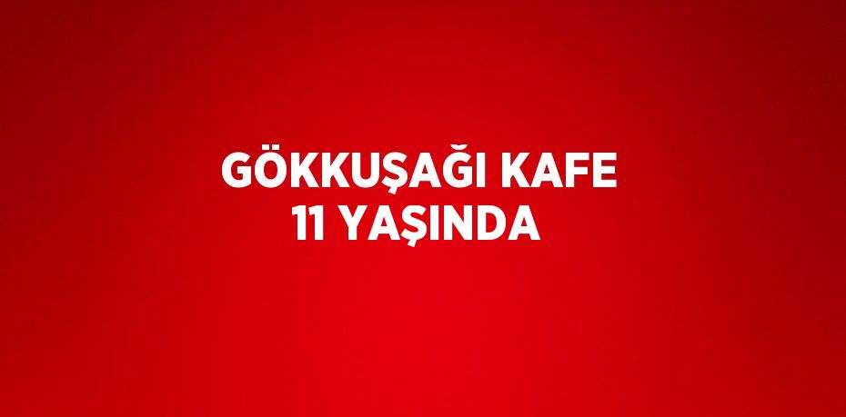 GÖKKUŞAĞI KAFE 11 YAŞINDA