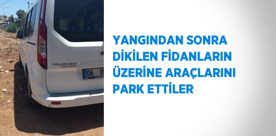 YANGINDAN SONRA DİKİLEN FİDANLARIN ÜZERİNE ARAÇLARINI PARK ETTİLER