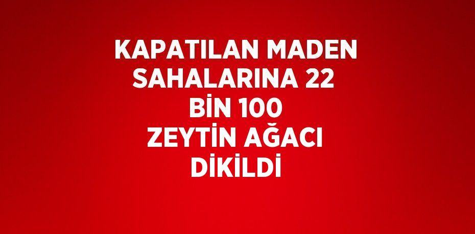 KAPATILAN MADEN SAHALARINA 22 BİN 100 ZEYTİN AĞACI DİKİLDİ