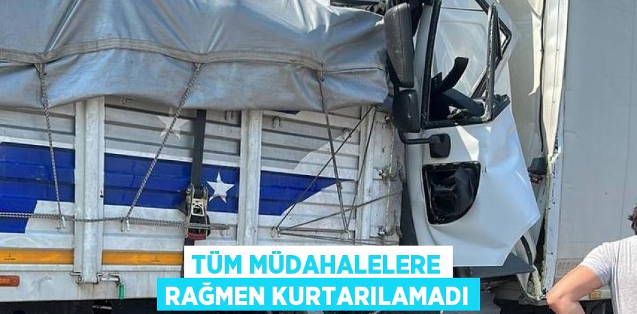 Tüm müdahalelere rağmen kurtarılamadı