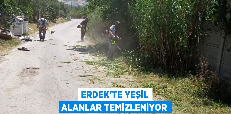 ERDEK'TE YEŞİL ALANLAR TEMİZLENİYOR