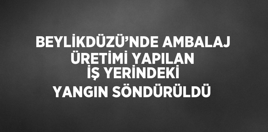 BEYLİKDÜZÜ’NDE AMBALAJ ÜRETİMİ YAPILAN İŞ YERİNDEKİ YANGIN SÖNDÜRÜLDÜ