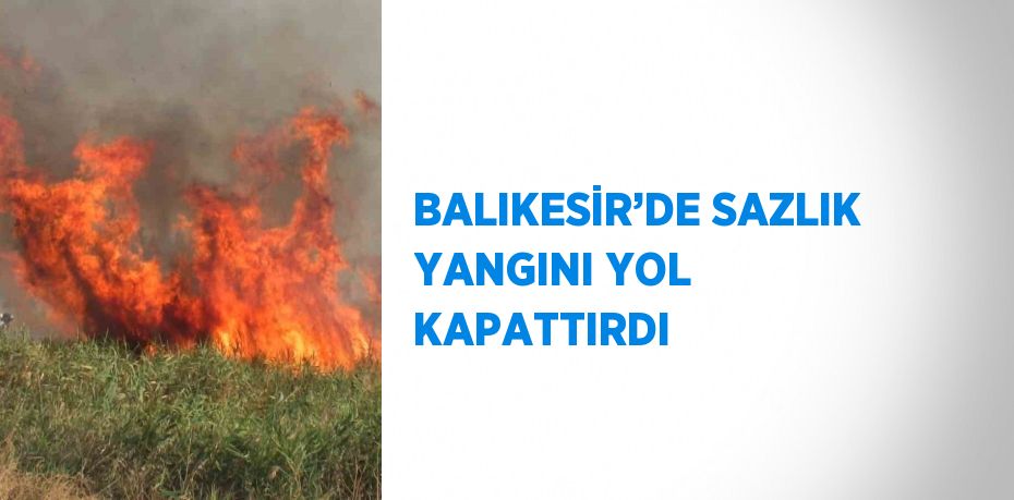 BALIKESİR’DE SAZLIK YANGINI YOL KAPATTIRDI