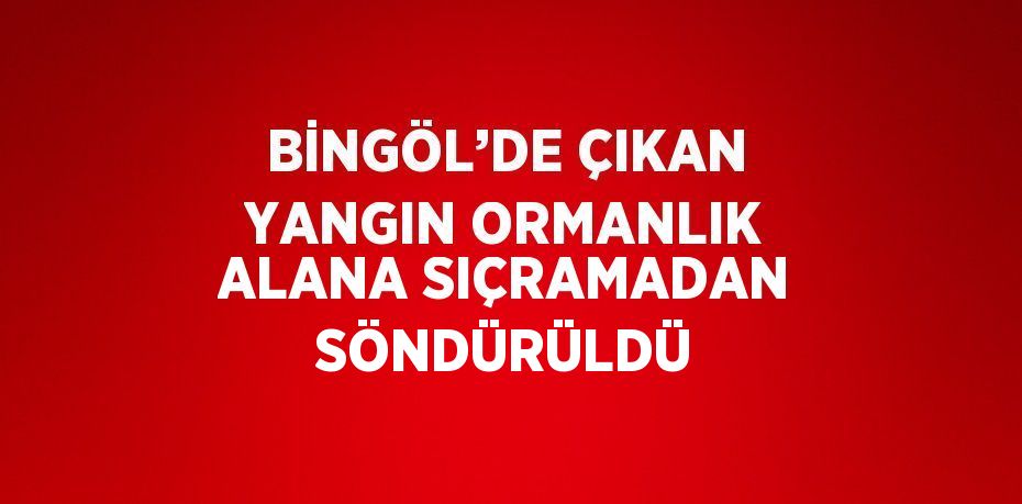 BİNGÖL’DE ÇIKAN YANGIN ORMANLIK ALANA SIÇRAMADAN SÖNDÜRÜLDÜ