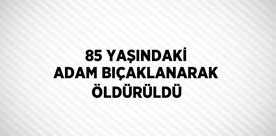 85 YAŞINDAKİ ADAM BIÇAKLANARAK ÖLDÜRÜLDÜ